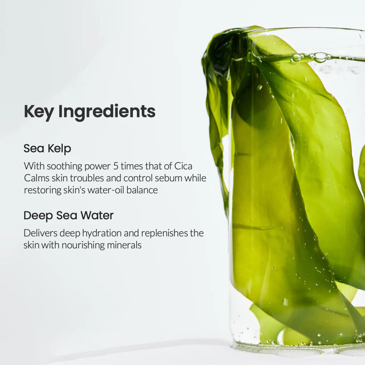 Biodance Refreshing Sea Kelp Real Deep Mask - Korean Skincare Supply